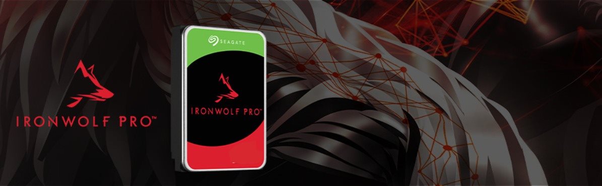 Seagate IronWolf Pro
