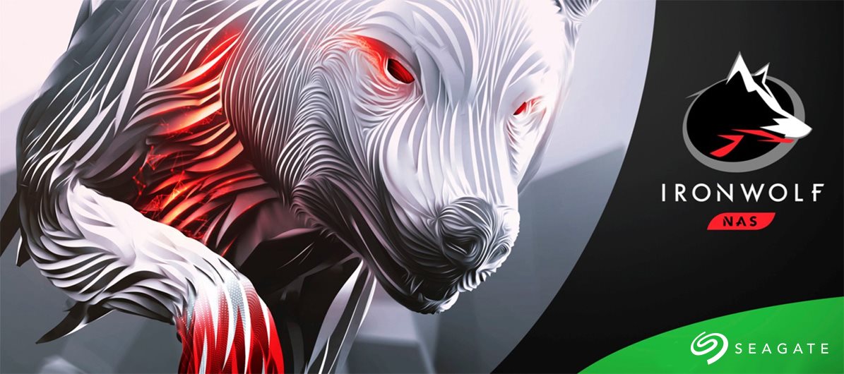 Pevný disk Seagate IronWolf CMR