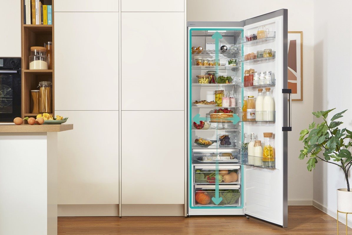 GORENJE R619EEW5 refrigerator