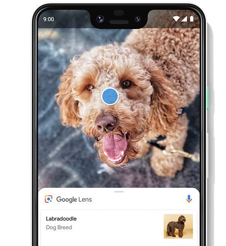 Google Pixel 3 XL Google Pixel 3 XL
