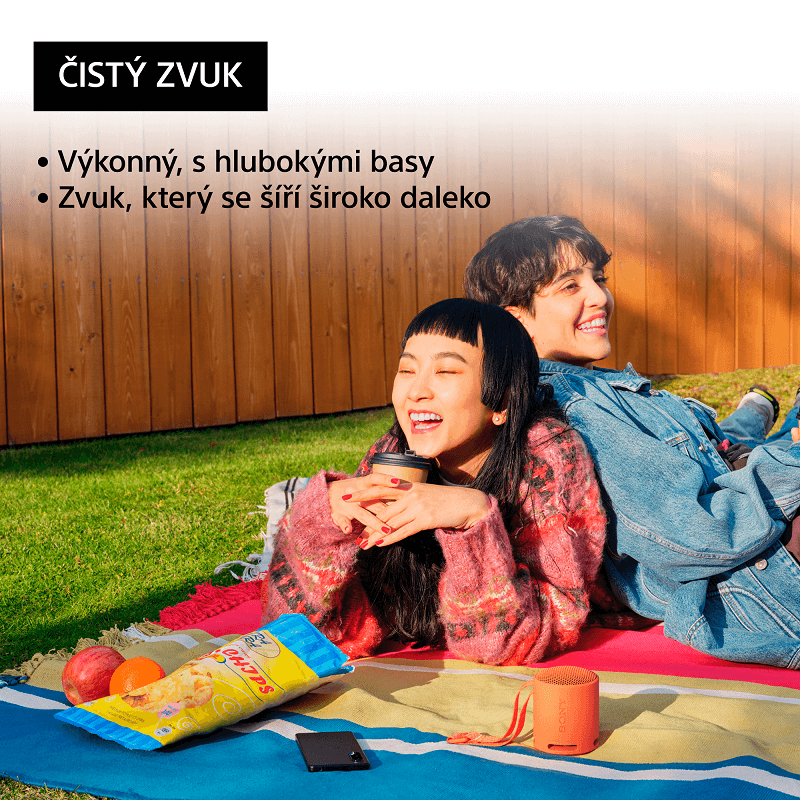 Bluetooth speaker Sony SRS-XB100