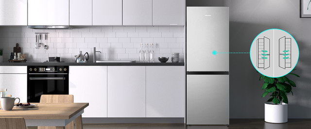 Lednice HISENSE RB291D4CDF s mrazákem dole