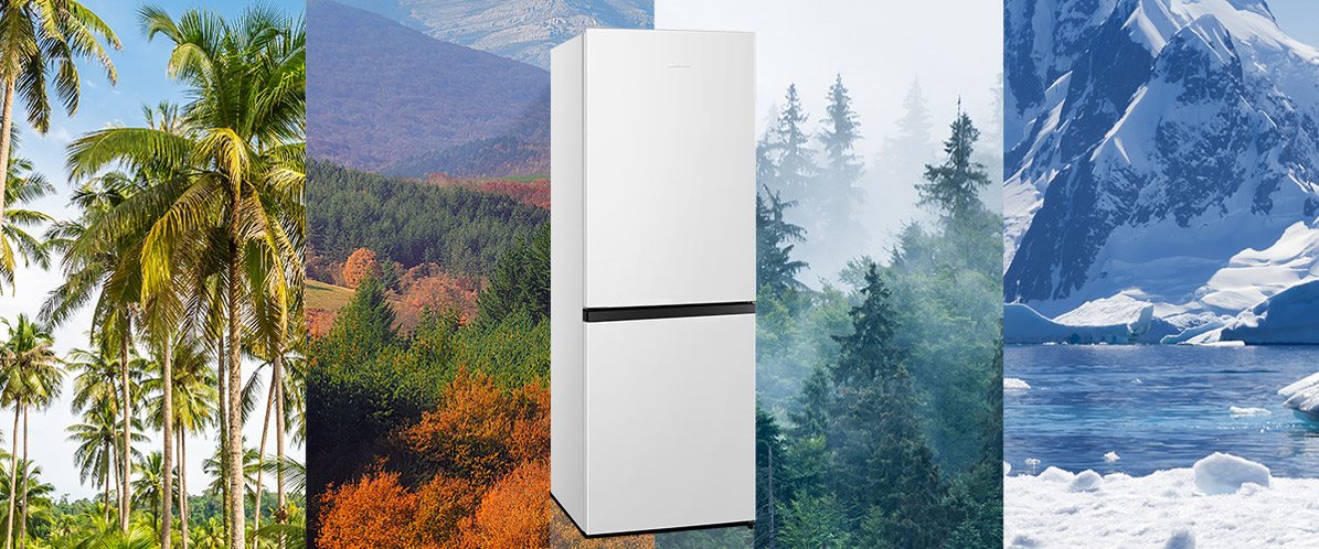 Lednice HISENSE RB291D4CWF s mrazákem dole