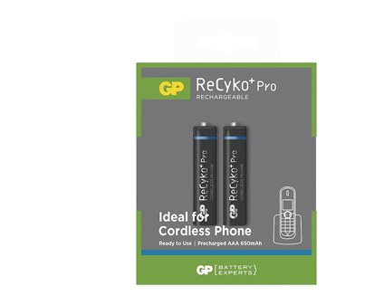 Rechargeable batteries ReCyko+ Pro Cordless