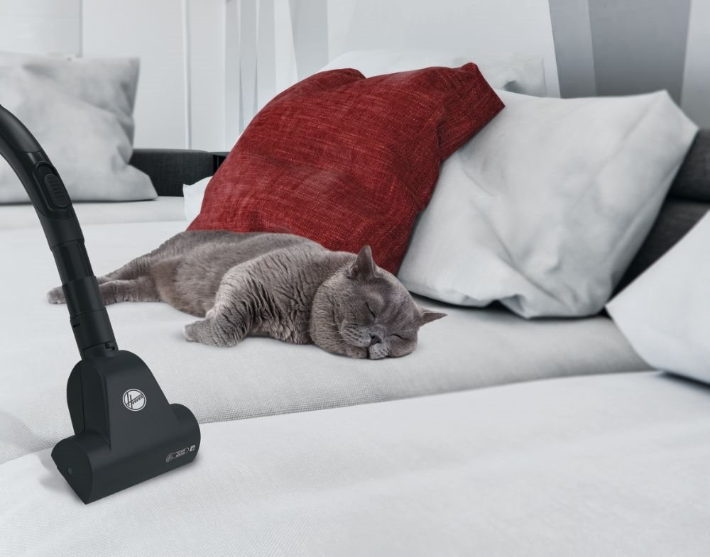 Staubsauger Hoover Brave BV60PET 011