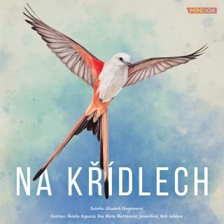 Společenská hra NA KŘÍDLECH