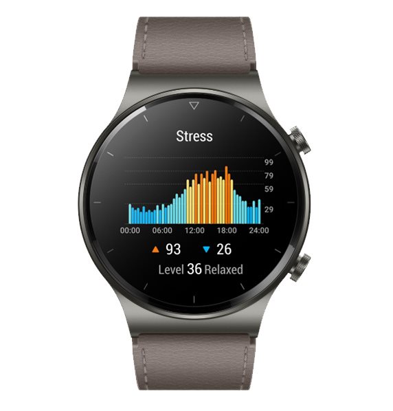 Huawei Watch GT Pro 46 mm Classic Nebula Gray