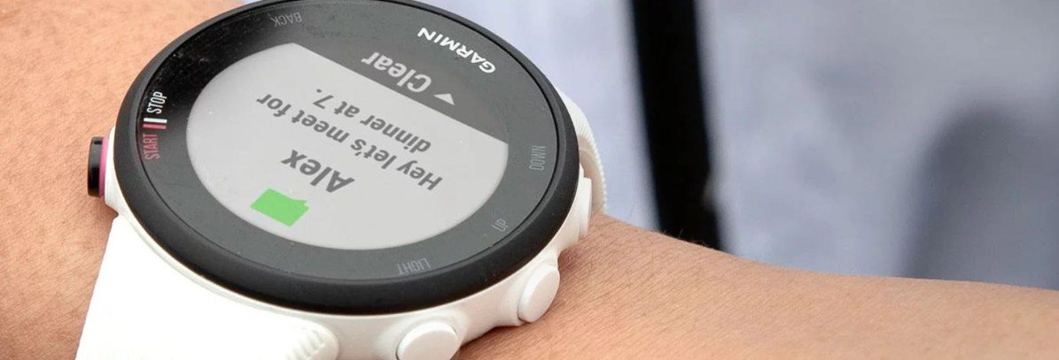 Garmin Forerunner 45