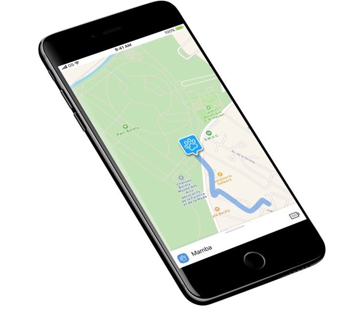 Invoxia GPS Pet Tracker
