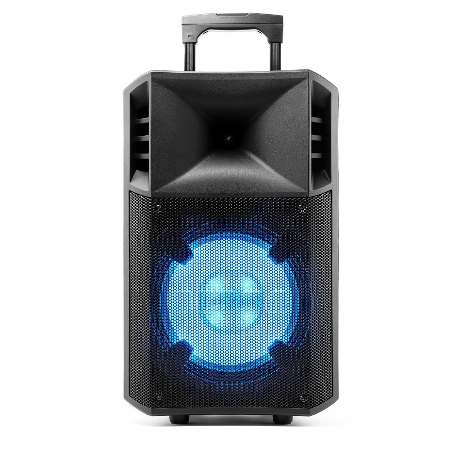 Bluetooth speaker ION Power Glow 300