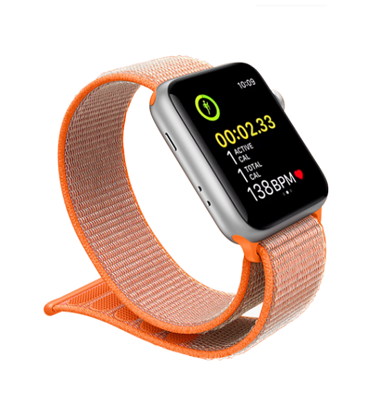 apple watch series 3 normal vs nike