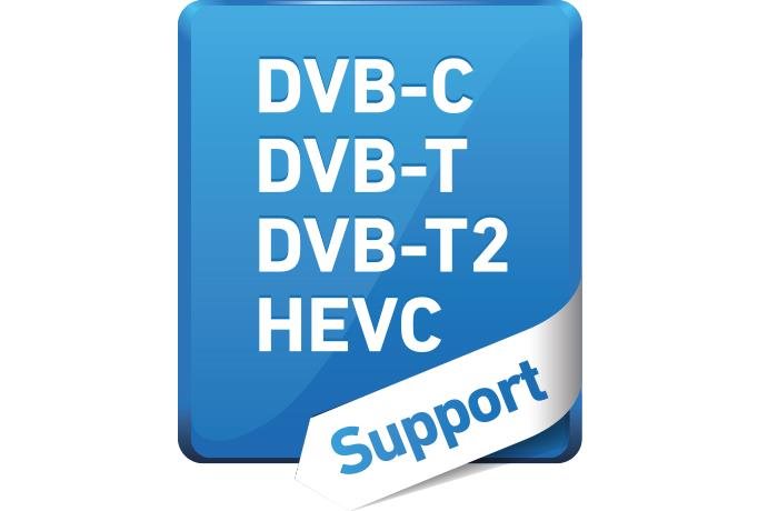 AVerMedia TV TD310 AVerMedia TV TD310