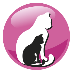 PreVital Junior Cat Kitten Food Chicken 0.95kg PreVital Junior Cat Kitten Food Chicken 0.95kg