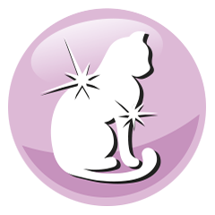 Granules for cats PreVital Senior Cat salmon Granules for cats PreVital Senior Cat salmon