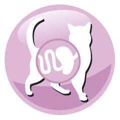 Granules for cats PreVital Senior Cat salmon Granules for cats PreVital Senior Cat salmon