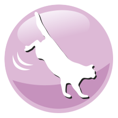 Granules for cats PreVital Senior Cat salmon Granules for cats PreVital Senior Cat salmon