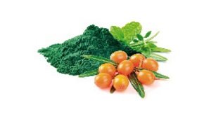Granule pro koťata Shelma Junior bezobilné granule s čerstvým krůtím pro koťata