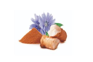 Kapsička pro kočky Shelma bezobilné dušené filetky 4 druhy masa 12 × 85 g