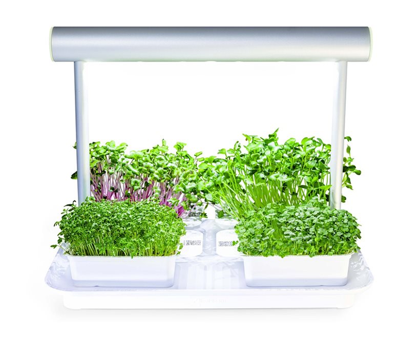 Microgreens by LeafLearn Mini Microgreens by LeafLearn Mini