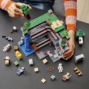 LEGO Minecraft 21169 The first adventure
