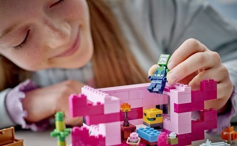 LEGO Minecraft 21247 Axolotl House