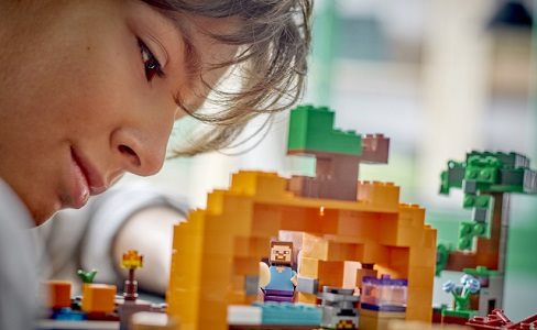 LEGO Minecraft 21248 Pumpkin Farm