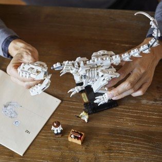 LEGO Ideas 21320 Dinosaur Fossil