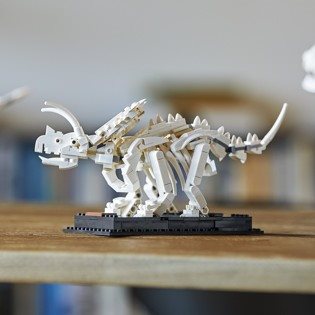 LEGO Ideas 21320 Dinosaur Fossil