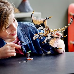 LEGO Ninjago 71718 Wu and his fighting dragon LEGO Ninjago 71718 Wu and his fighting dragon