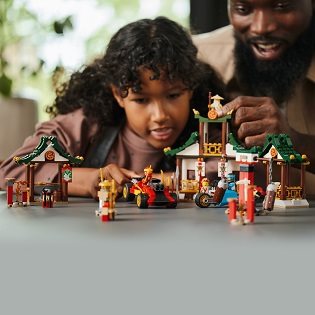 LEGO® NINJAGO® 71787 Creative Ninja Box LEGO® NINJAGO® 71787 Creative Ninja Box
