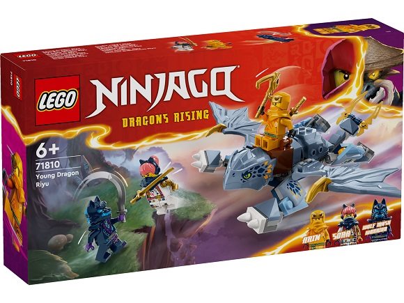 LEGO® NINJAGO® 71810 Drachenjunge Riyu