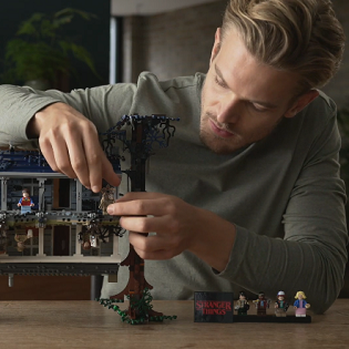 LEGO Stranger Things 75811 Upside Down