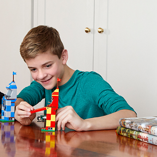 LEGO Harry Potter 75956 Quidditchspiel