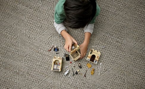 LEGO® Harry Potter™ 76395 Hogwarts™: First Flying Lesson