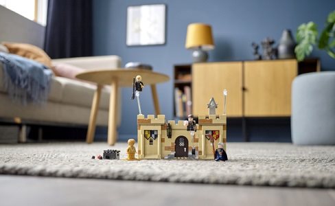 LEGO® Harry Potter™ 76395 Hogwarts™: First Flying Lesson