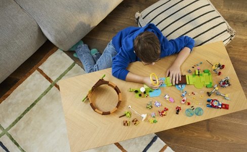 LEGO Sonic The Hedgehog 76994 Sonic's Loop Challenge in the Green Hill Zone