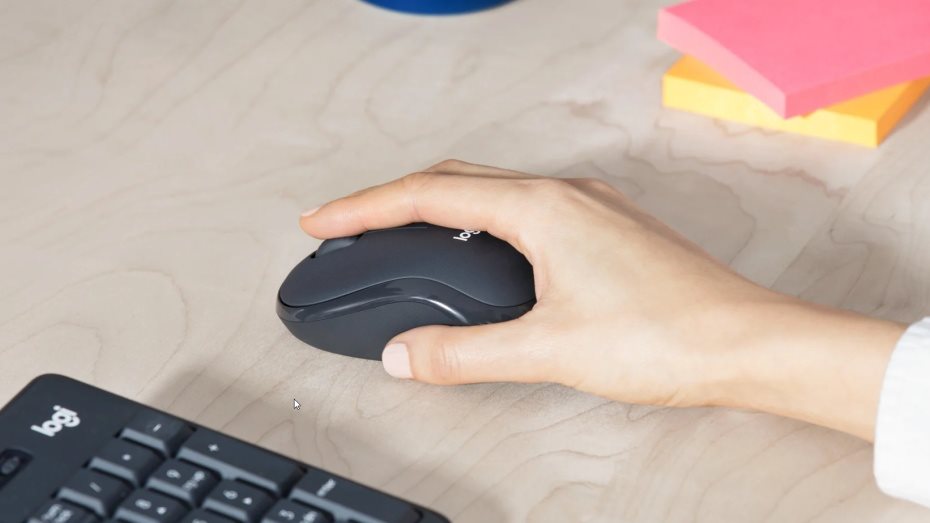 Logitech Wireless Combo MK295