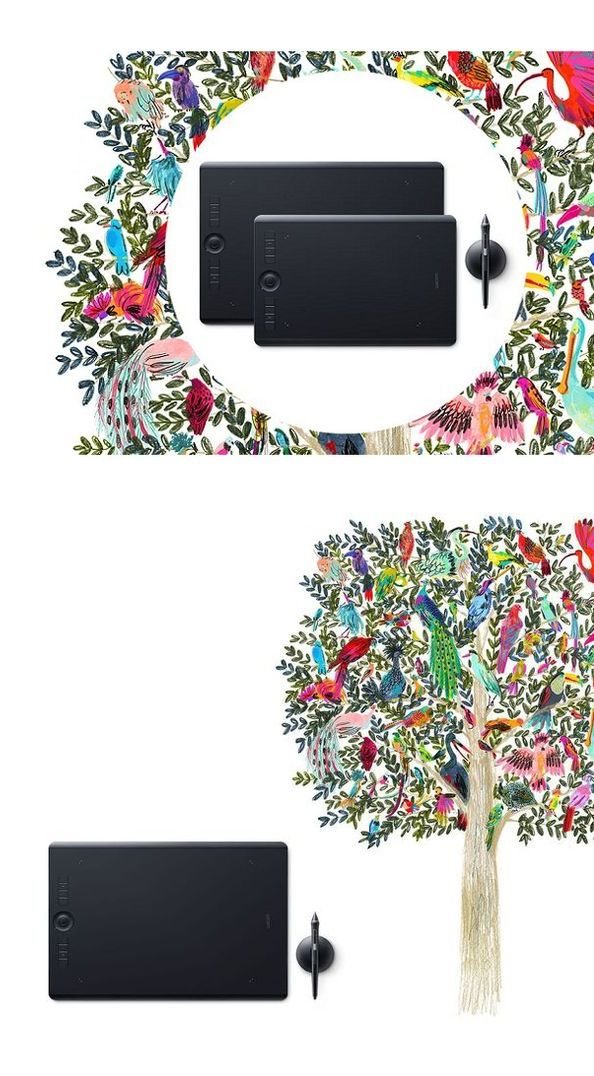Wacom Intuos Pro 