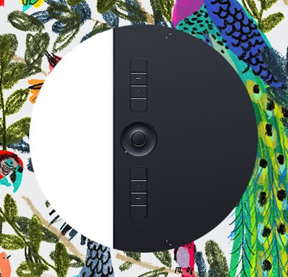 Wacom Intuos Pro - Touch Ring