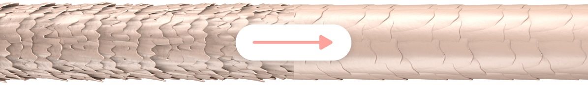 Meer Shampoo. Step 1 - Cleansing and Preparation Meer Shampoo. Step 1 - Cleansing and Preparation
