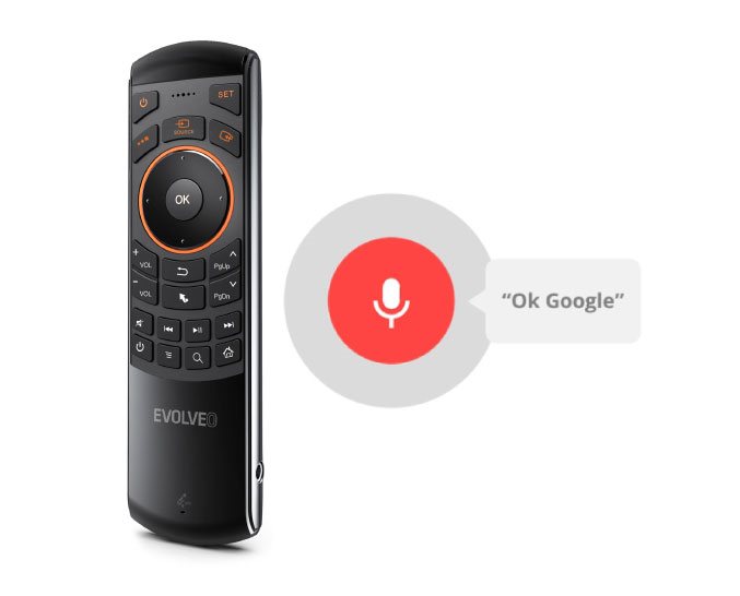 Voice control