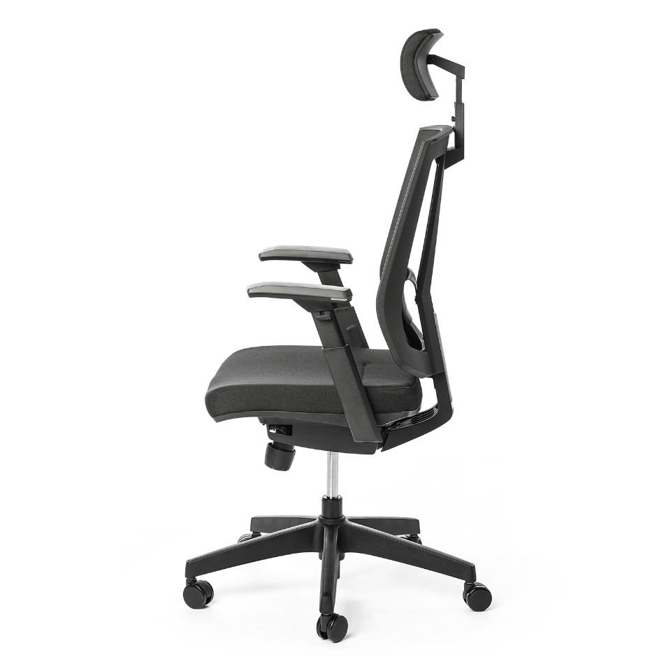 MULTISED FRIEMD BZJ 363