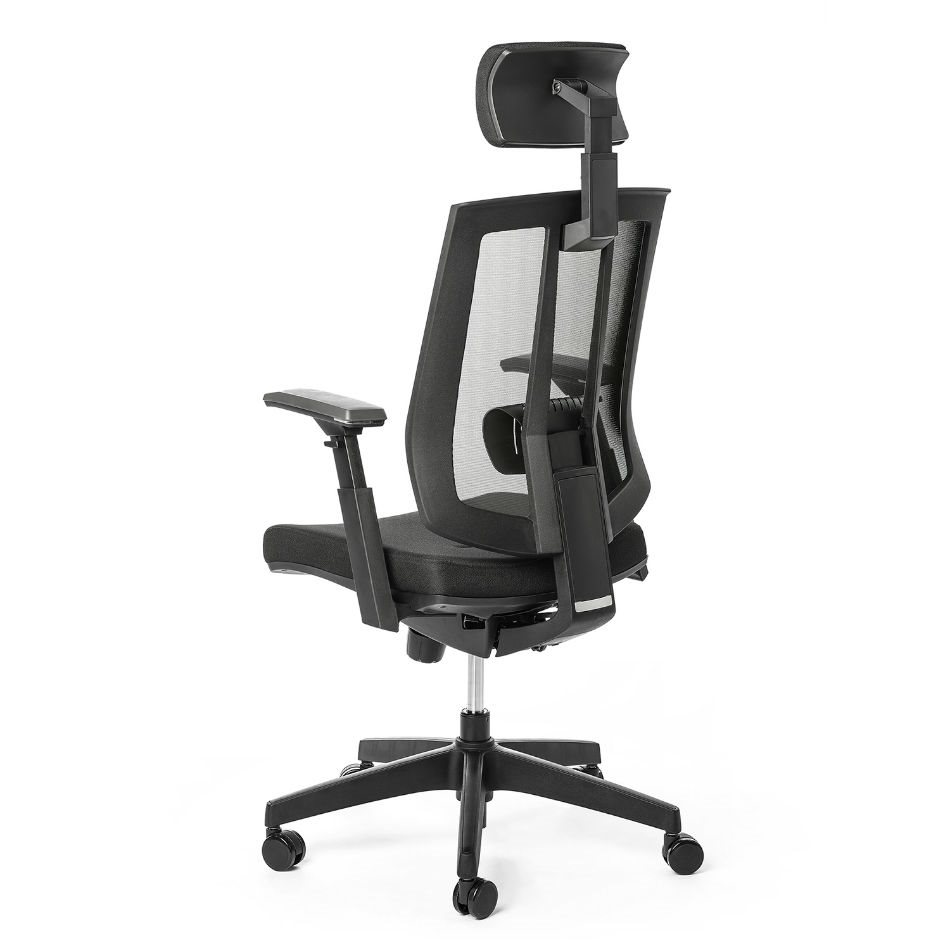 MULTISED FRIEMD BZJ 363