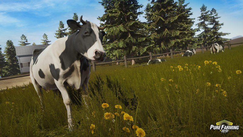 Pure Farming 2018 - zvířena