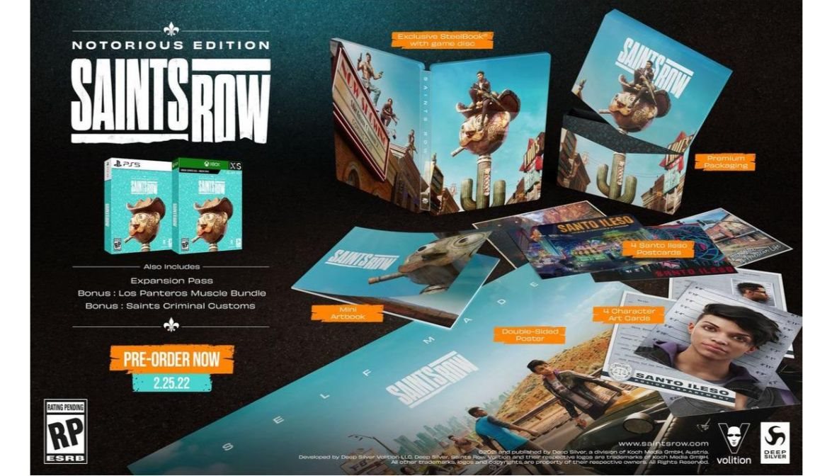 Saints Row: Notorious Edition - PS4