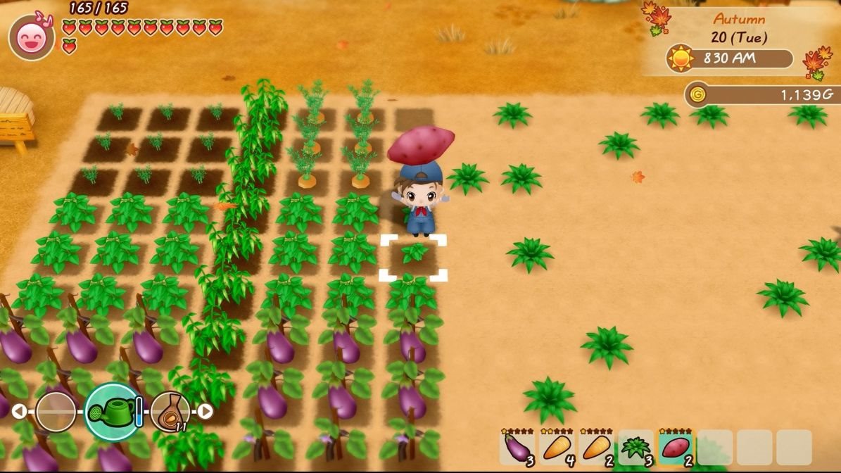 Story of Seasons: Friends of Mineral Town - PS4