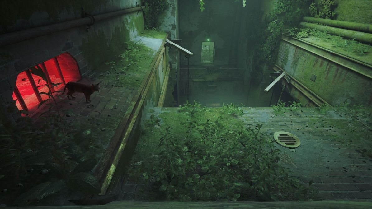 Stray - PS4