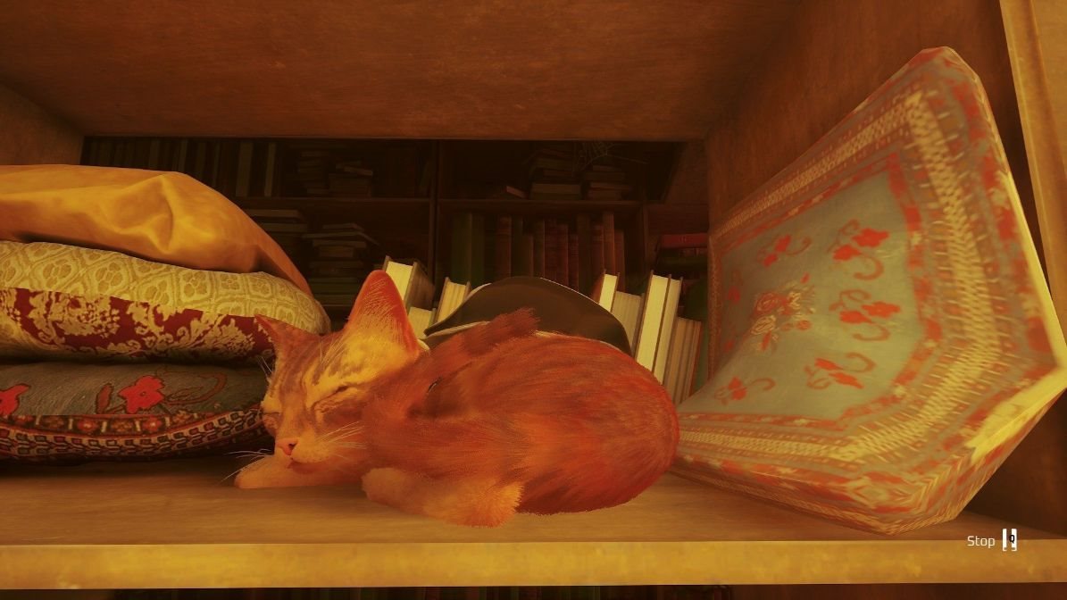 Stray - PS4