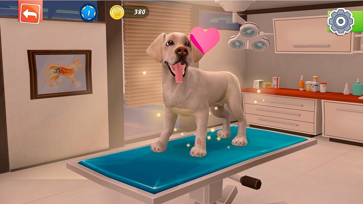 Animal Hospital Xbox