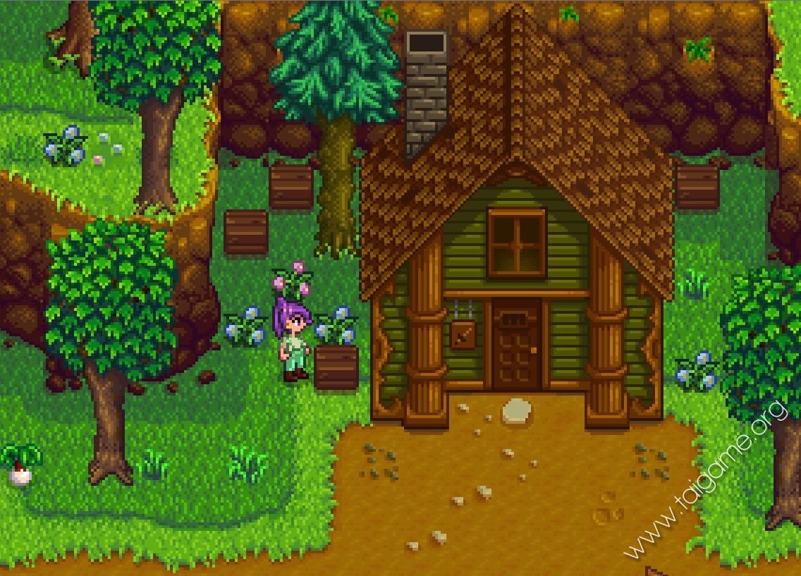Stardew Valley Collector's Edition Stardew Valley Collector's Edition
